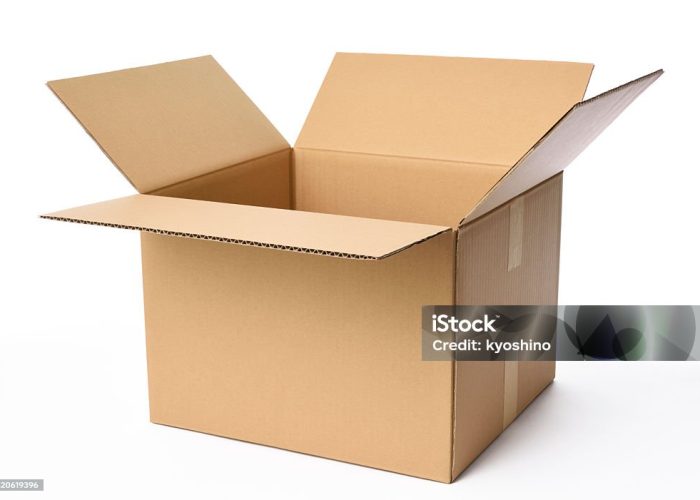 Opened blank cardboard box isolated on white background with clipping path.